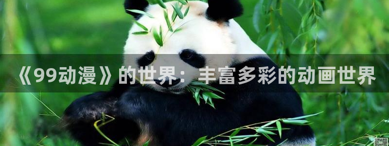 51动漫漫画官网下载